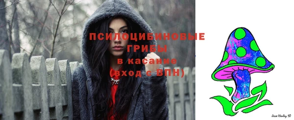 стафф Алексин