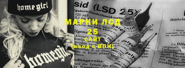 стафф Алексин