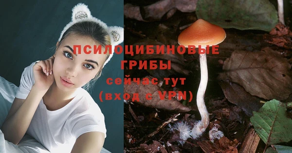 стафф Алексин