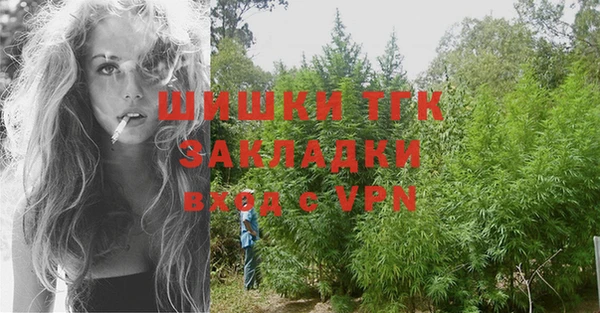 соль ск Алзамай